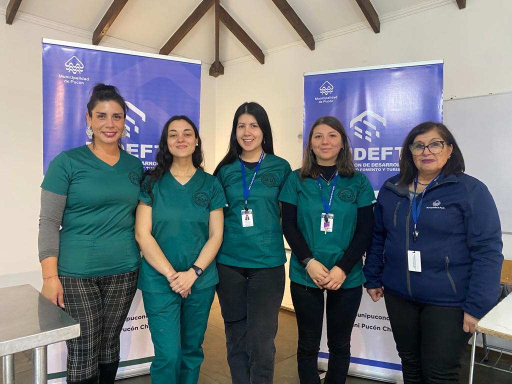 PROGRAMA MASCOTA PROTEGIDA DE LA MUNICIPALIDAD DE PUCÓN REALIZÓ IMPORTANTE OPERATIVO PARA PERROS Y GATOS – Website de la Municipalidad de Pucón