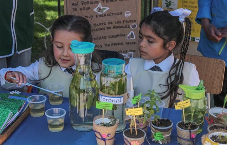 TODO LISTO PARA UNA NUEVA VERSIÓN DE LA FERIA CIENTÍFICA DE EDUCACIÓN PARVULARIA EN PUCÓN – Website de la Municipalidad de Pucón