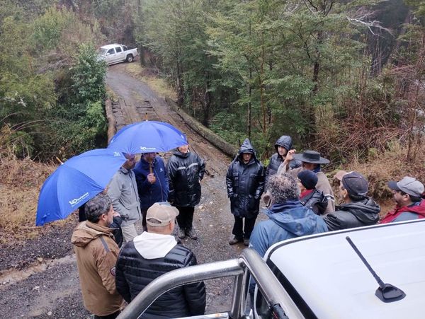 COMIENZA RECONSTRUCCIÓN DE PUENTE RÍO NEVADOS EN PUCÓN – Website de la Municipalidad de Pucón