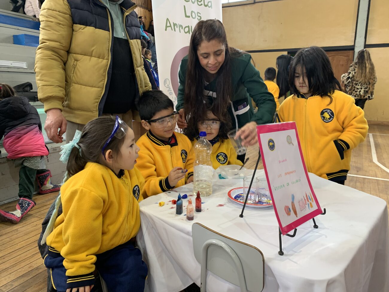 PEQUEÑOS PARTICIPARON DE LA  5° FERIA CIENTÍFICA DE EDUCACIÓN PARVULARIA REALIZADA EN PUCÓN – Website de la Municipalidad de Pucón