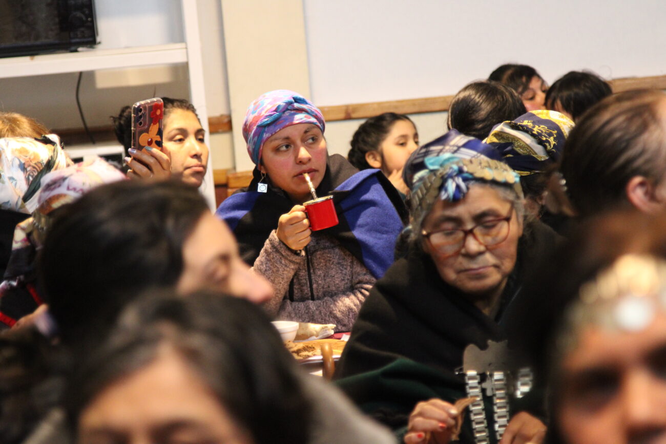 EN SECTORES RURALES DE PUCÓN CELEBRARON EL DÍA DE LA MUJER INDÍGENA – Website de la Municipalidad de Pucón