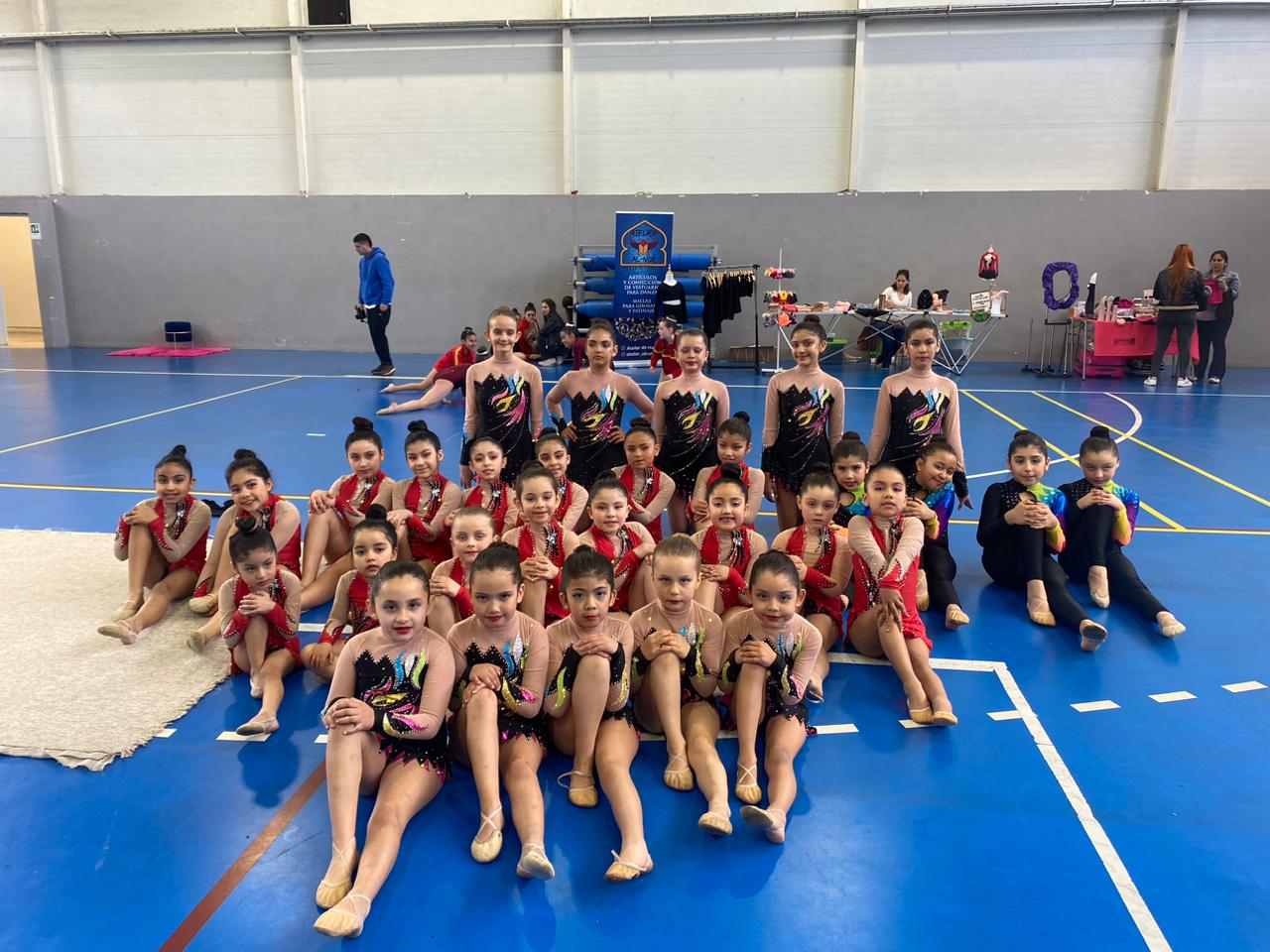 EXCELENTES RESULTADOS OBTUVO LA GIMNASIA RITMICA PUCONINA – Website de la Municipalidad de Pucón