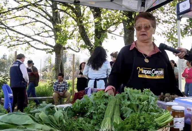 Mercado Campesino Agroecológico de Pucón Adelantó su Apertura de Verano – Website de la Municipalidad de Pucón