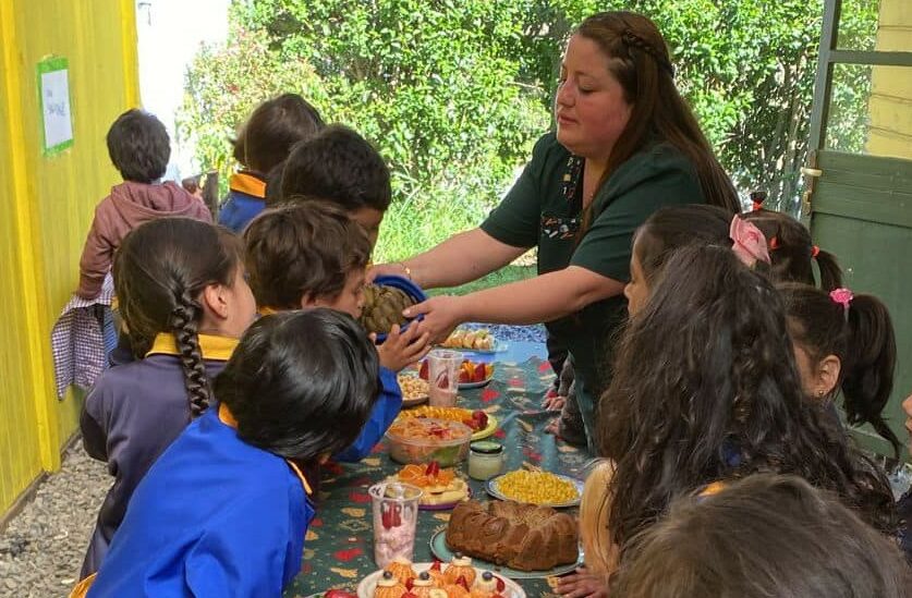 CON PICNIC ESCOLAR PREKINDER DE LA ESCUELA EL CLARO FINALIZÓ MÓDULO VIDA SALUDABLE – Website de la Municipalidad de Pucón