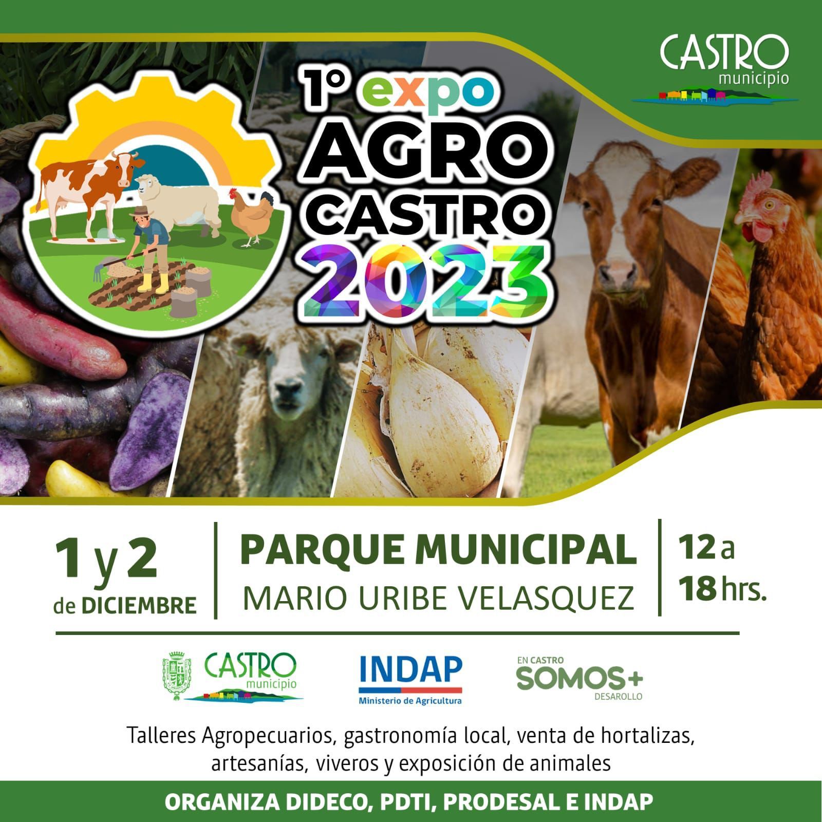 Expo Agro Castro 2023: Celebrando nuestras raíces campesinas