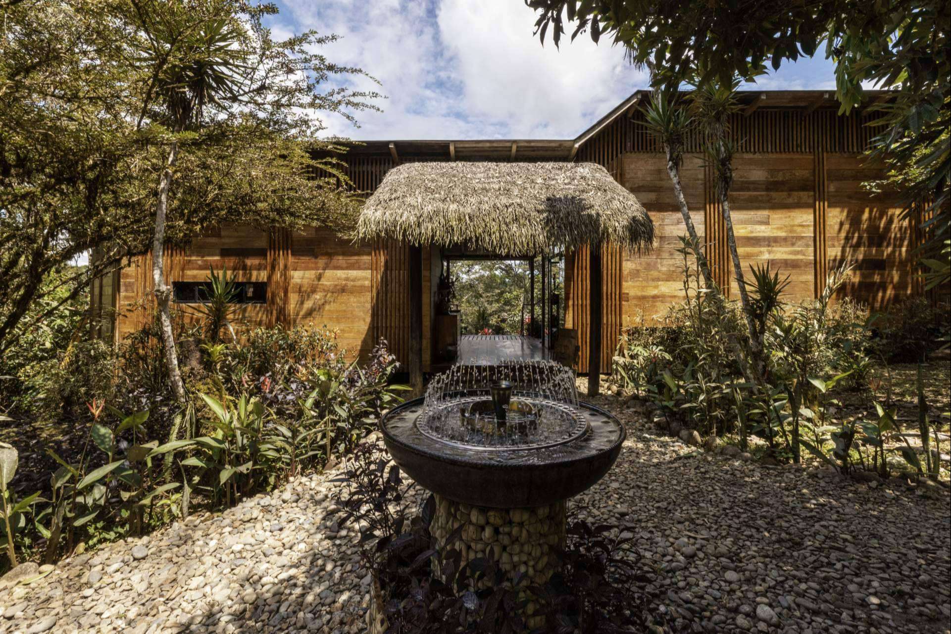 Exploración del Amazonia con Hamadryade Lodge