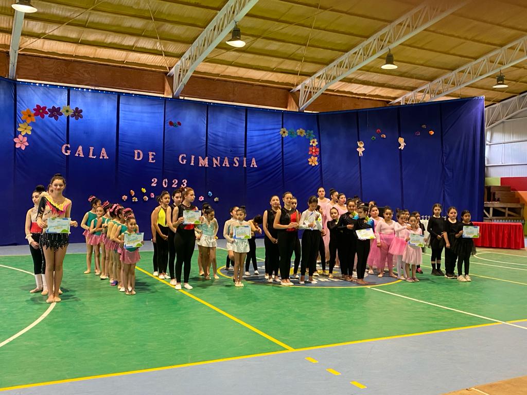 MÁS DE 80 GIMNASTAS PARTICIPARON EN LA SEGUNDA GALA ANUAL DE ESCUELAS MUNICIPALES DE PUCÓN – Website de la Municipalidad de Pucón