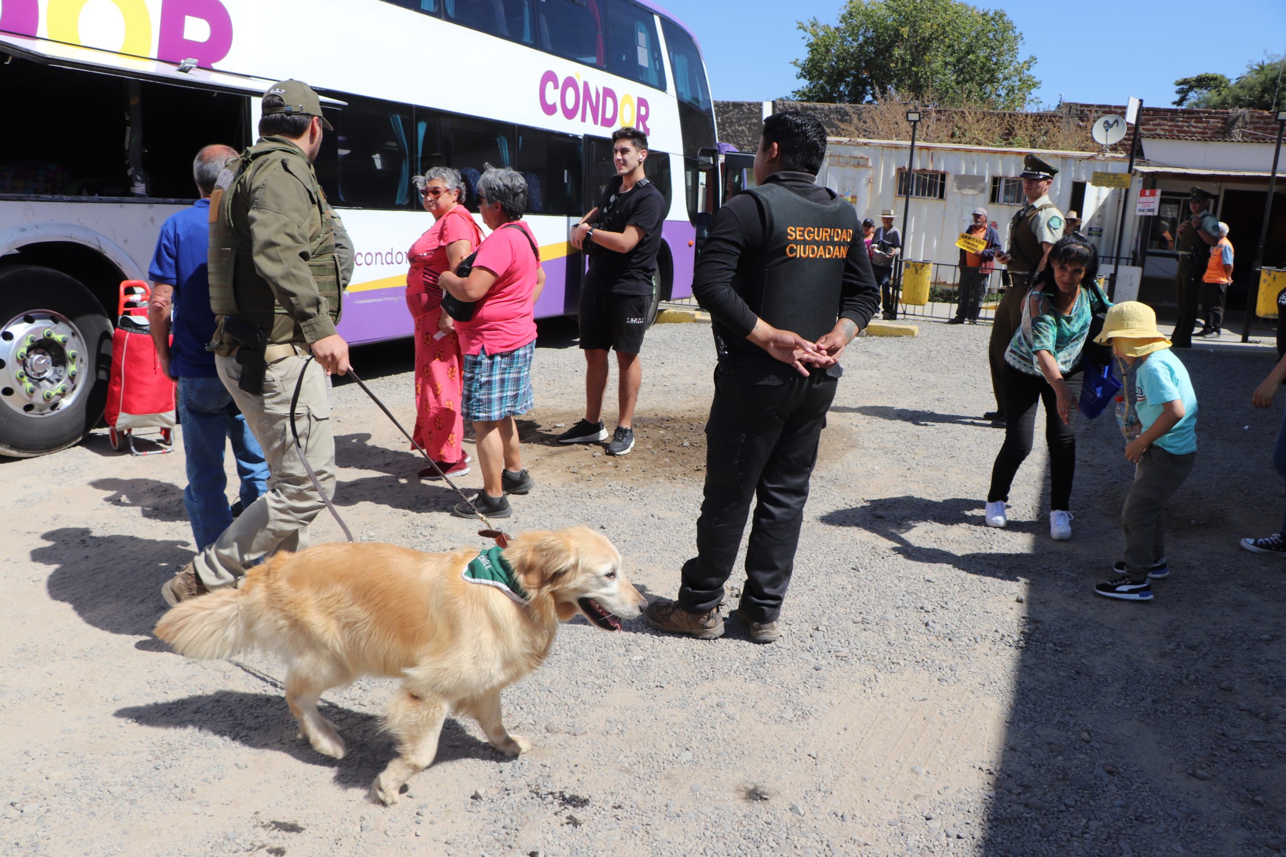 Carabineros y Dirección de Seguridad Pública realizan fiscalización de vehículos y pasajeros que ingresan a la comuna