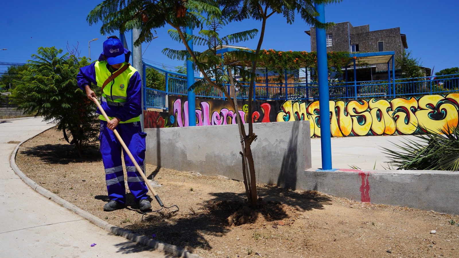 MUNICIPIO DE VILLA ALEMANA DOBLARÁ LA FRECUENCIA DE BARRIDO DE CALLES DURANTE EL 2024 Y SUMARÁ 27 SECTORES PARA MANTENCIÓN DE ÁREAS VEDES