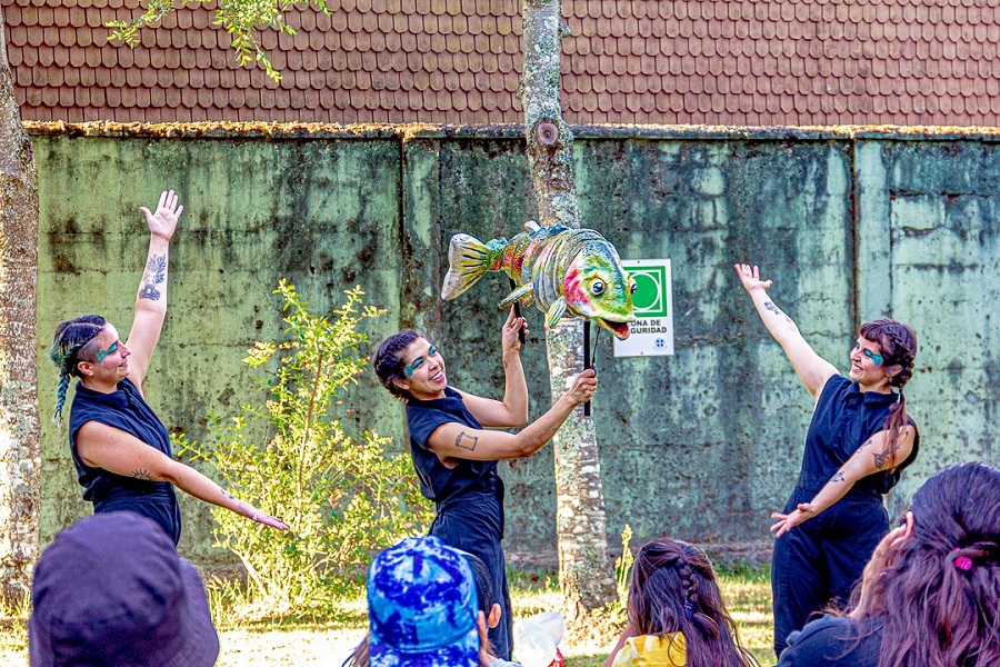 UFRO PUCÓN INVITA A PARTICIPAR DEL “ARTFEST VERANO 2024” – Website de la Municipalidad de Pucón