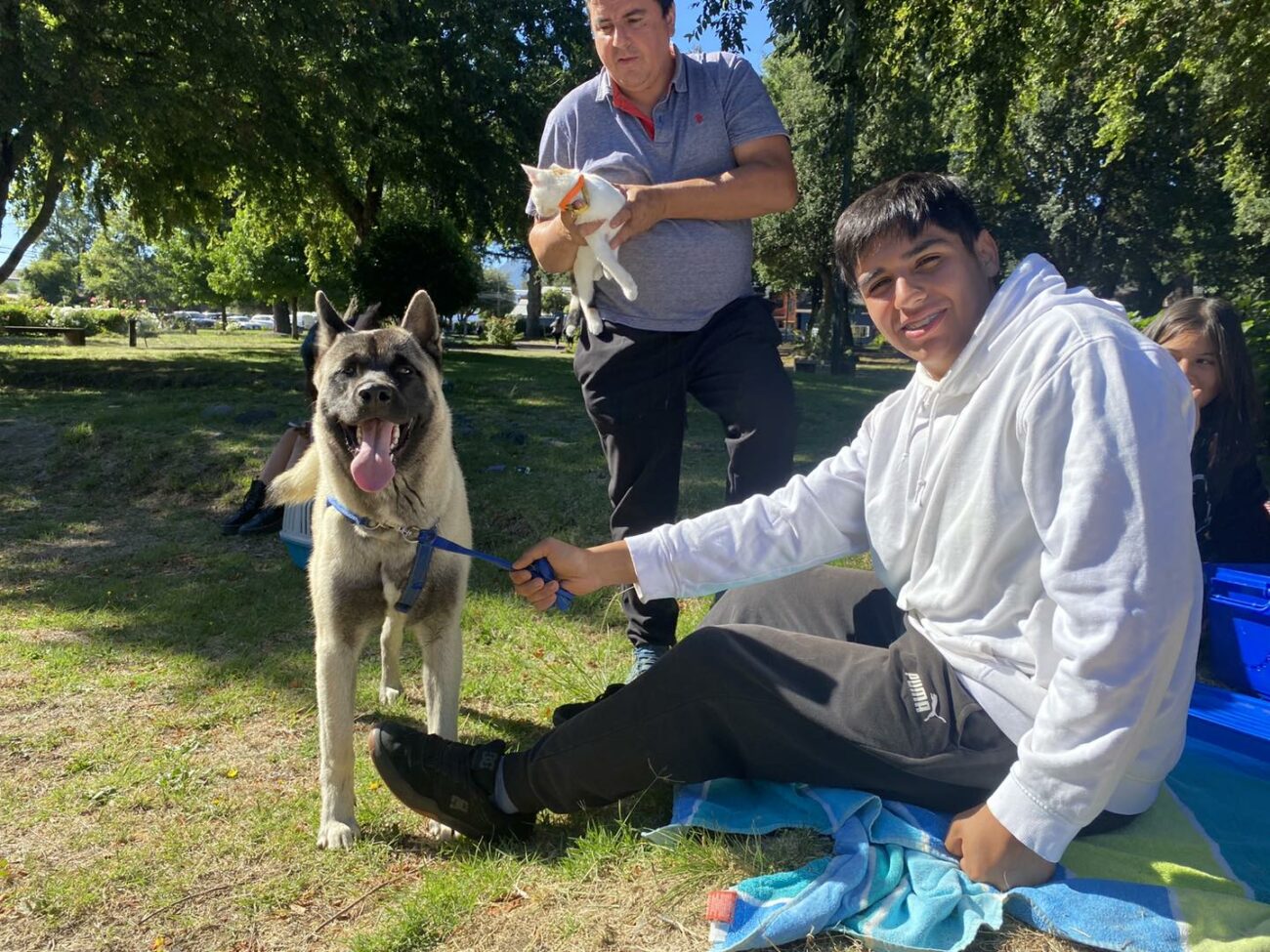 SIGUEN LOS OPERATIVOS PARA LA TENENCIA RESPONSABLE DE MASCOTAS EN PUCÓN – Website de la Municipalidad de Pucón