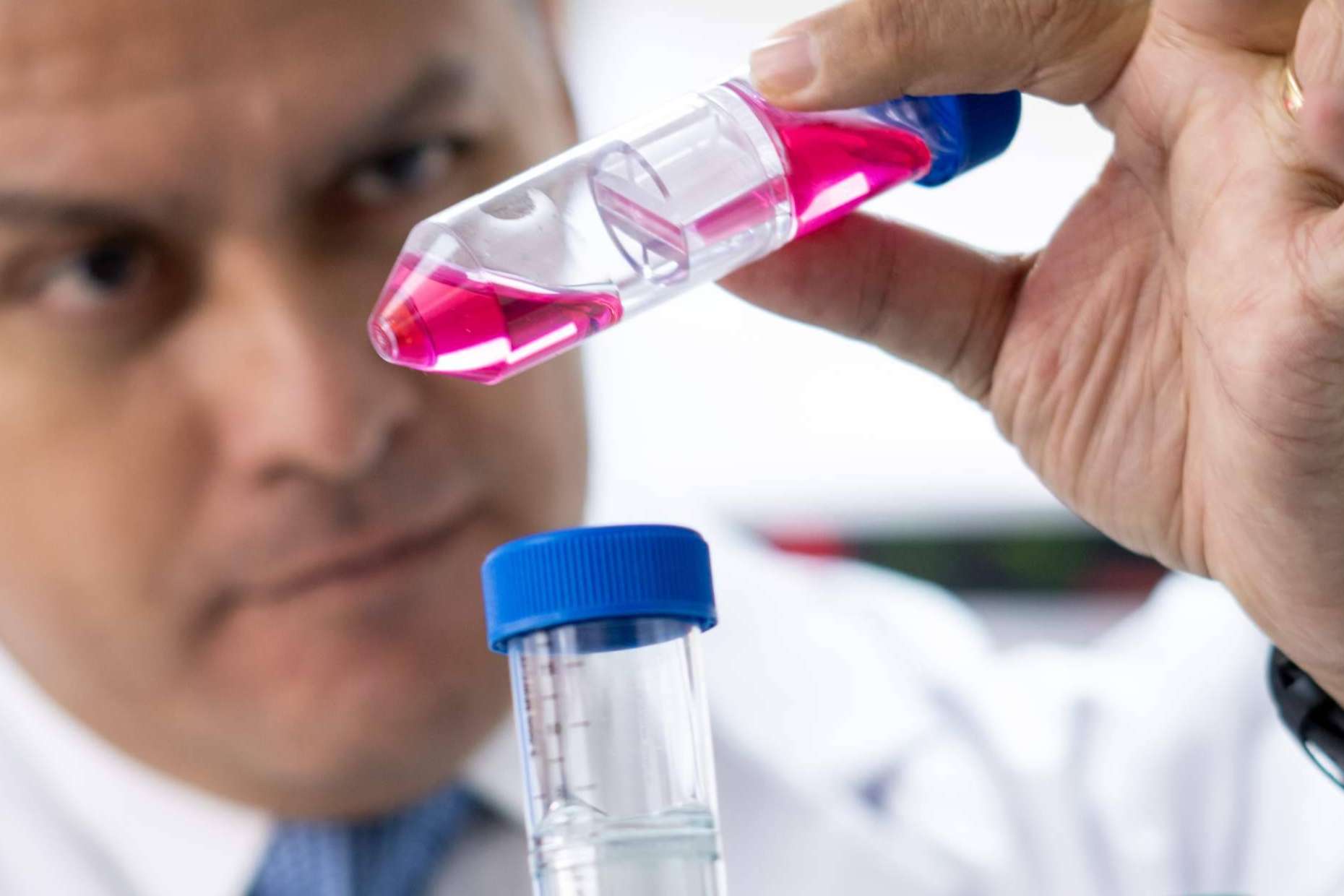 Seguridad y Transparencia con ONCOCIT RED CANCER para Vencer el Cáncer
