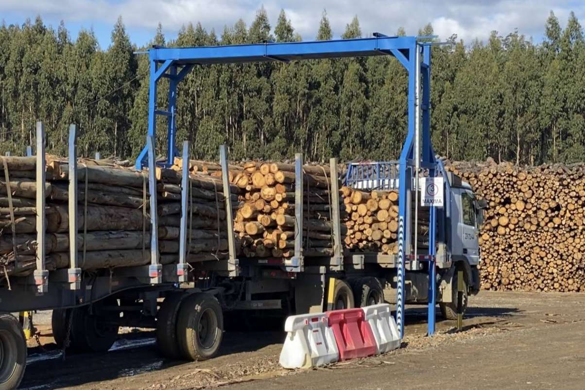 Soluciones digitales de TTC optimizan la gestión forestal mediante automatización y uso de IA