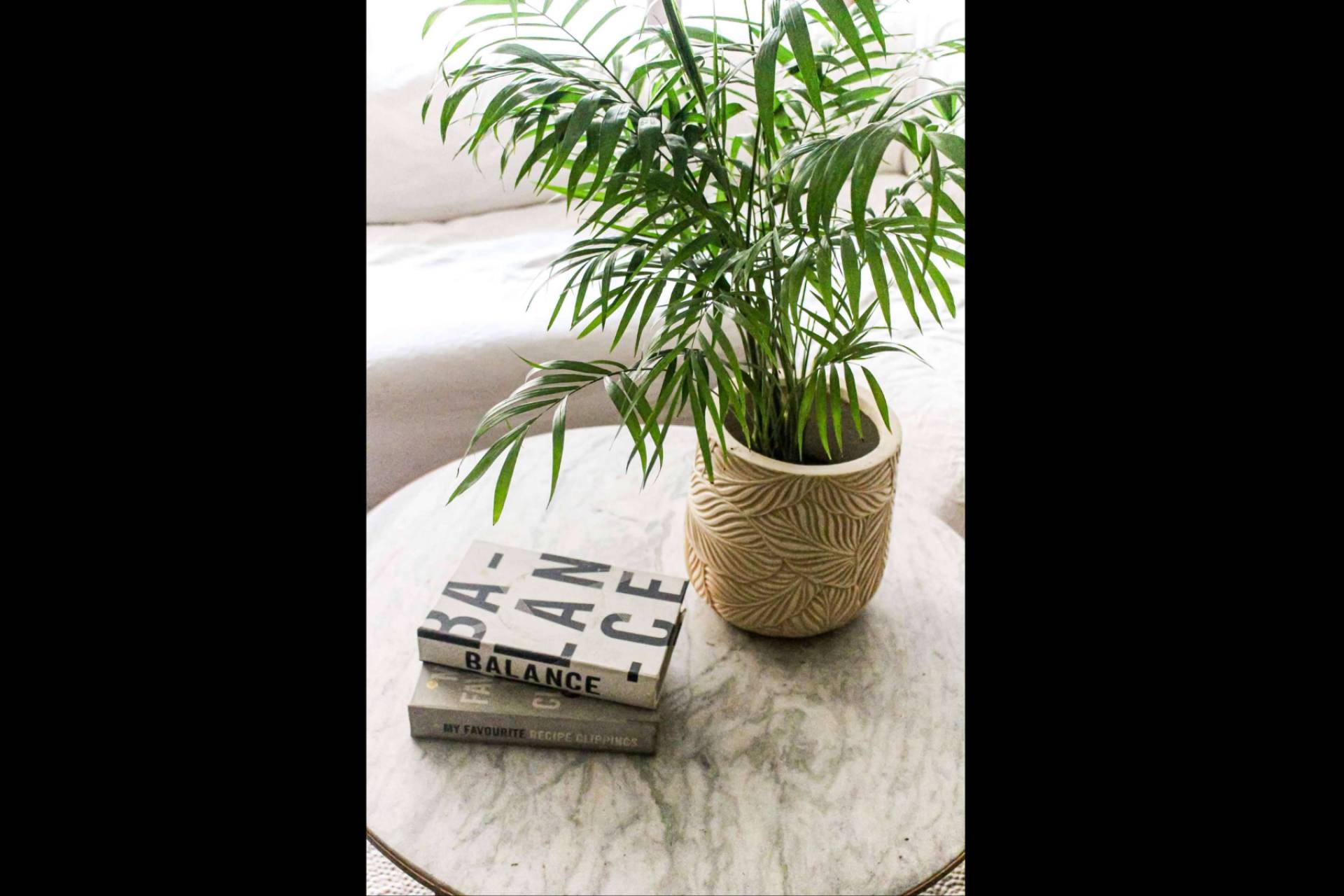 Decoración viva, PlantMe crece con plantas, maceteros y cuidado de áreas verdes en todo Chile