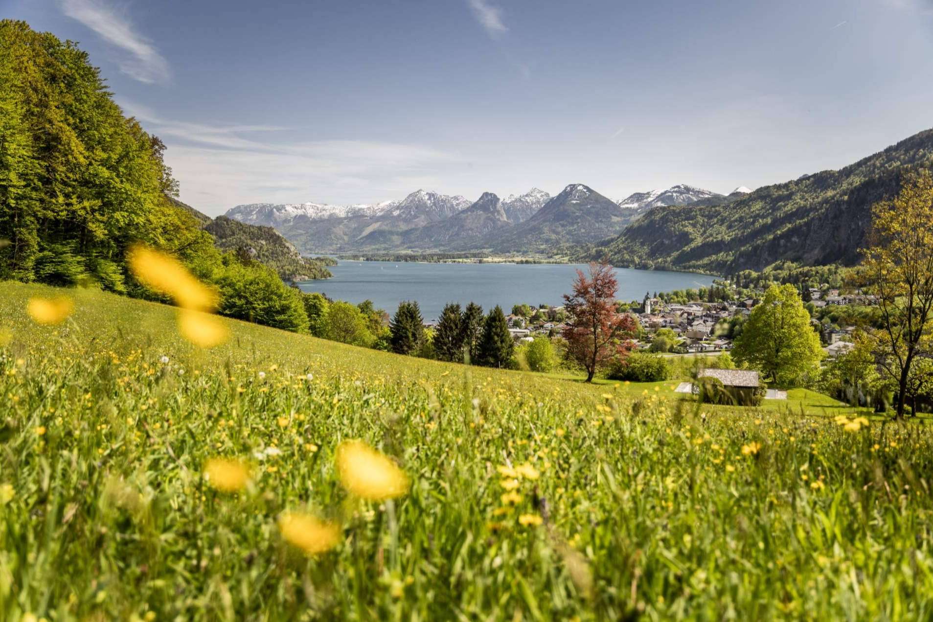 Revivir La Novicia Rebelde en Austria; un viaje íntimo por los escenarios que marcaron generaciones